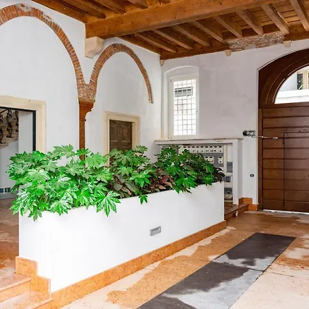 Apartment Luxury Wellness